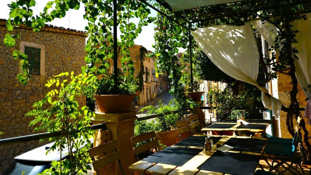 Terrasoverkapping bij restaurant met groene planten en schaduwrijke zitplekken