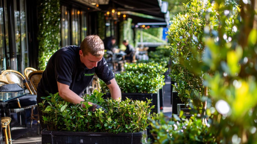 Medewerker verzorgt beplanting op een groen terras bij een horecazaak